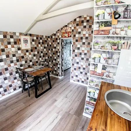 Le Cardinal Annebault